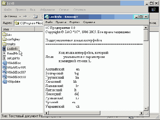 Языки. Интернационализация